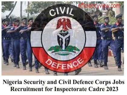 Nigeria Security And Civil Defence Corps Jobs Recruitment For ...