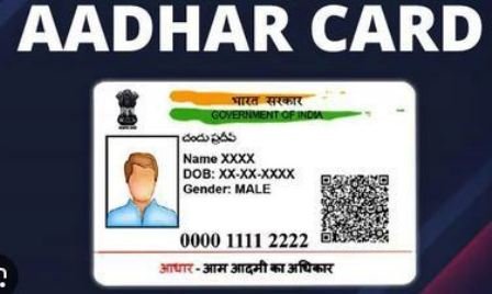 See Requirements/how to register for Aadhaar UIDAI Card 2024/2025